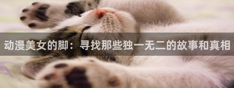 age动漫下载