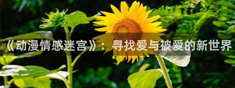 age动漫下载动漫全免费