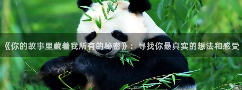 age动漫