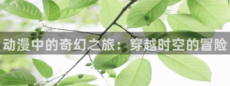 拷贝漫画 copymanager.ory网站