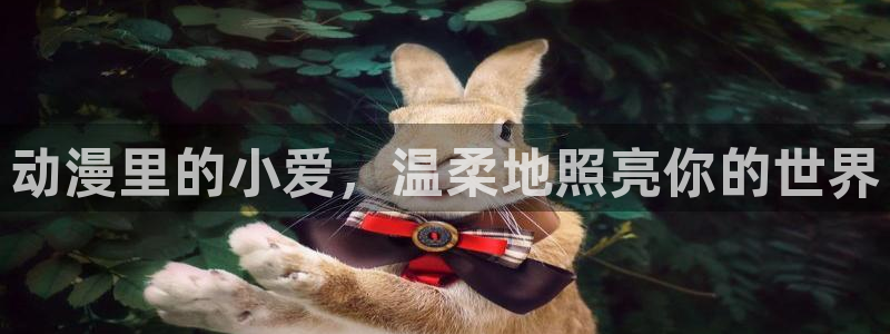 age动漫官网入口老版本