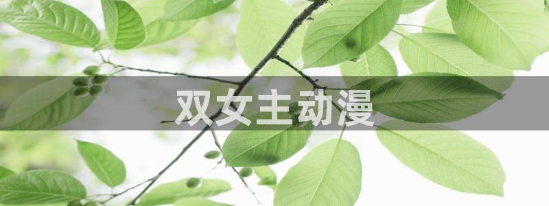 下载age动漫
