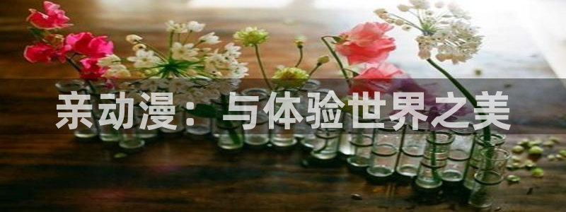 age动漫官网版入口