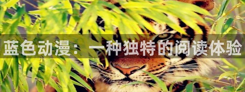 age动漫