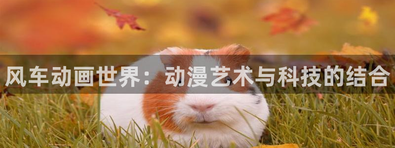 age动漫下载网