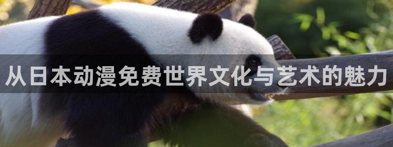 age动漫官网版入口