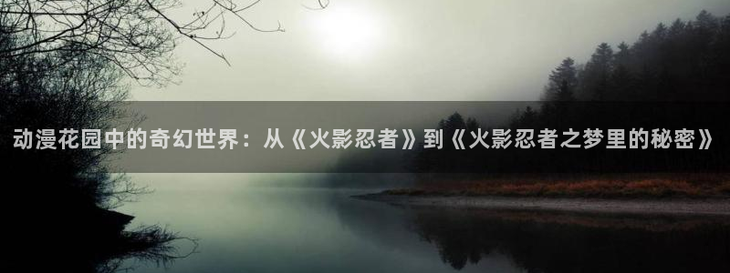 age动漫官网版入口