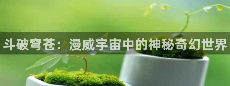 age动漫官网入口老版本