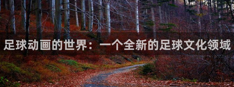 age动漫网上看