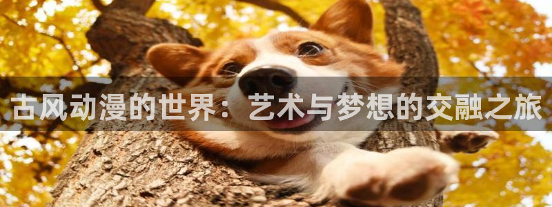 age动漫网上看