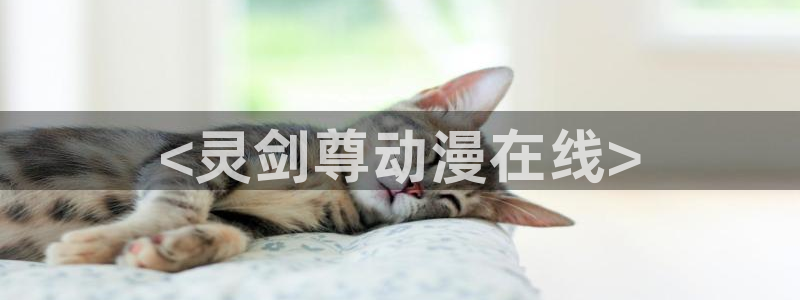 age动漫网下载