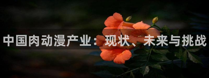 age动漫官网樱花动漫