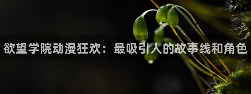 韩国漫画平台kakaopage