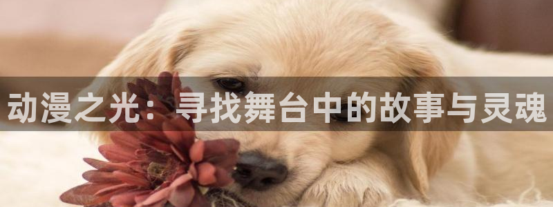 colamanage漫画下载