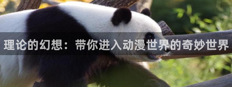 age动漫下载动漫全免费：理论的幻想：带你进入动漫世界的奇妙世界