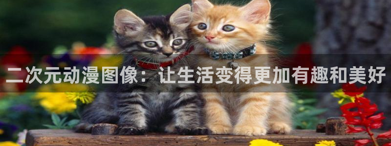 age动漫官网在线入口：二次元动漫图像：让生活变得更加有趣和美好