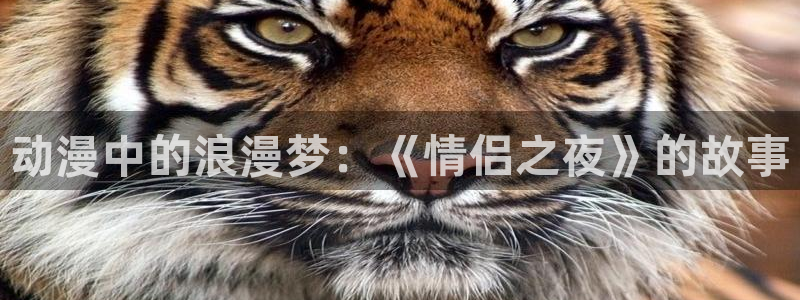 age动漫网