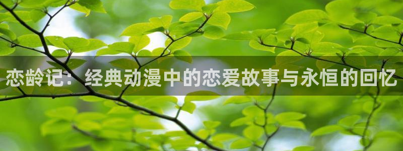 age动漫官网在线入口