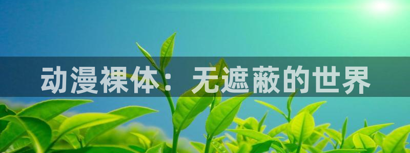 age动漫官网入口老版本