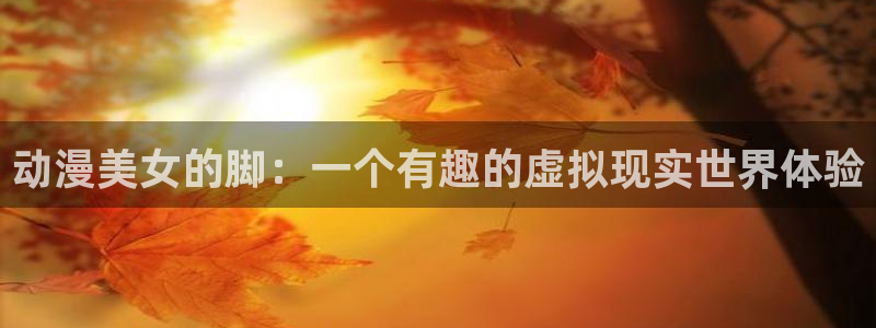 age动漫官网网址：动漫美女的脚：一个有趣的虚拟现实世界体验