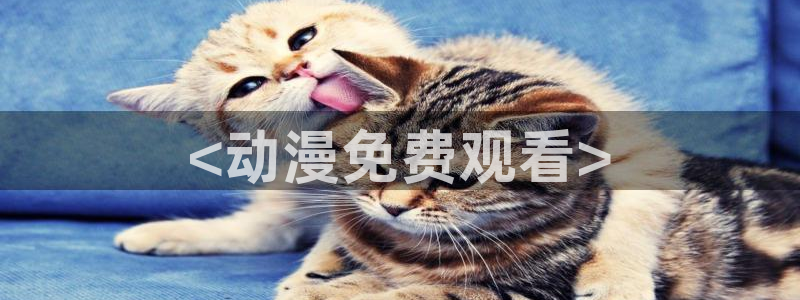 age动漫官网网址：<动漫免费观看>
