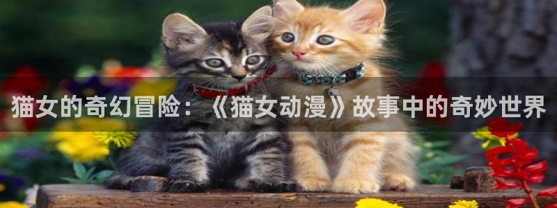 age动漫下载：猫女的奇幻冒险：《猫女动漫》故事中的奇妙世界