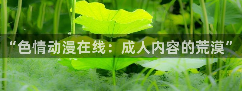 managereader漫画官网入口：“色情动漫在线：成人内容的荒漠”