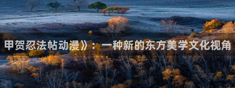 拷贝漫画 copymanager.ory网站：甲贺忍法帖动漫》：一种新的东方美学文化视角