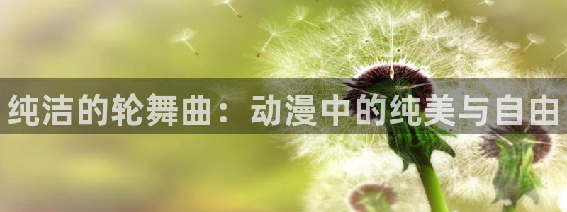 age动漫官网入口老版本：纯洁的轮舞曲：动漫中的纯美与自由