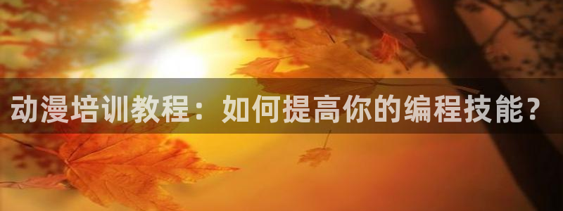 volcanicage漫画：动漫培训教程：如何提高你的编程技能？