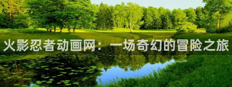 age动漫正版网：火影忍者动画网：一场奇幻的冒险之旅