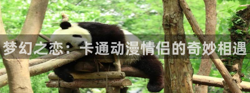 age专注动漫的门户网站：梦幻之恋：卡通动漫情侣的奇妙相遇