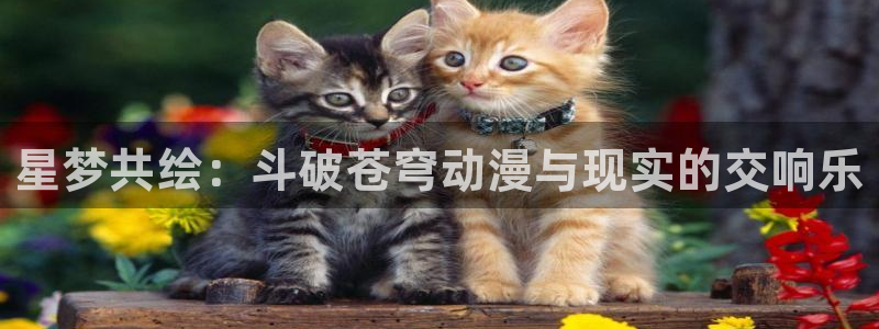 colamanage漫画官网：星梦共绘：斗破苍穹动漫与现实的交响乐